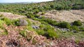 Enlarge photo 203