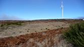 Enlarge photo 210