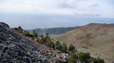 Enlarge photo 211
