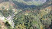 Enlarge photo 215