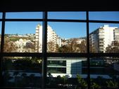 Enlarge photo 221