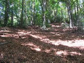 Enlarge photo 16