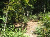Enlarge photo 19