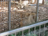 Enlarge photo 30