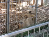 Enlarge photo 31