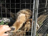Enlarge photo 27