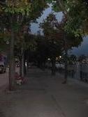 Enlarge photo 82