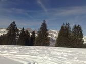 Enlarge photo 14