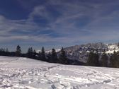 Enlarge photo 17
