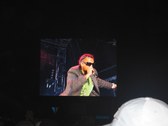 Enlarge photo 82