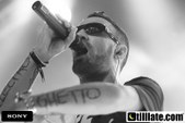 Enlarge photo 54