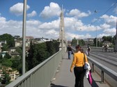 Enlarge photo 131