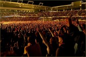 Enlarge photo 162