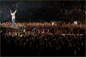 Enlarge photo 163