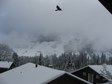 Enlarge photo 93