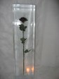Enlarge photo 245
