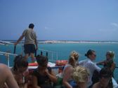 Enlarge photo 57