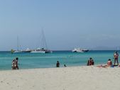 Enlarge photo 71