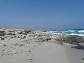 Enlarge photo 83