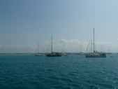 Enlarge photo 89