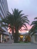Enlarge photo 111