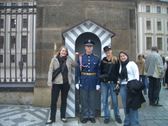 Enlarge photo 210
