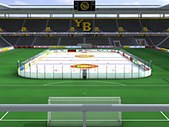 Tatze-Derby im Stade de Suisse