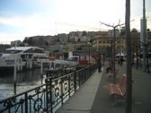 Enlarge photo 25