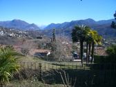 Enlarge photo 30