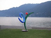 Enlarge photo 17