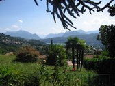 Enlarge photo 45
