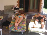 Enlarge photo 48