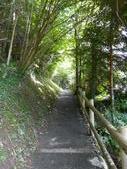 Enlarge photo 43