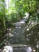 Enlarge photo 44