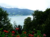Enlarge photo 50