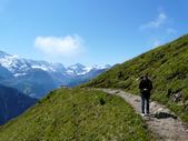 Enlarge photo 77