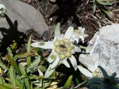Enlarge photo 78