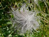 Enlarge photo 80