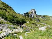 Enlarge photo 81