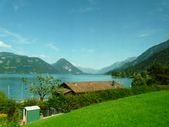 Enlarge photo 95