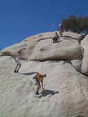 Enlarge photo 172