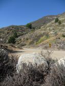 Enlarge photo 81