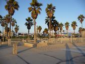 Enlarge photo 90
