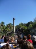 Enlarge photo 119
