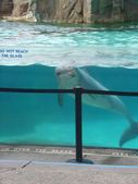 Enlarge photo 143
