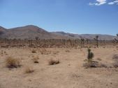 Enlarge photo 164