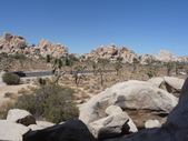 Enlarge photo 167