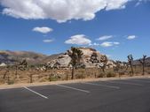 Enlarge photo 169