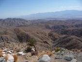 Enlarge photo 174