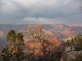 Enlarge photo 195